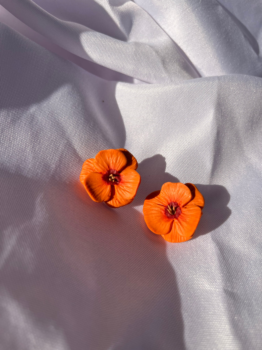 Desert Poppy